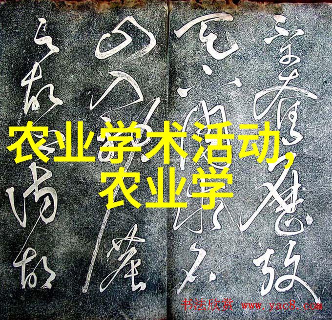 农耕小巧收获的守护者
