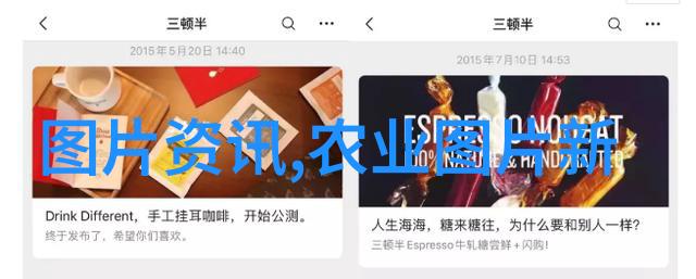 桔梗种植技术及亩收益我是如何让我的桔梗园子年年丰收的