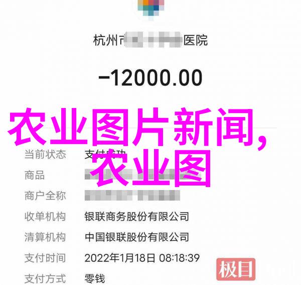 郁金香的种植方法和时间 - 如何在不同季节有效地培育这些美丽花朵