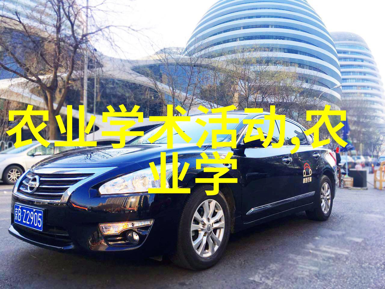 在现代生活节奏快的情况下我该如何照顾这些需要定期浇水的室内吉利花