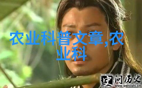 药材养殖项目哪种最好绿茵草下的金银花