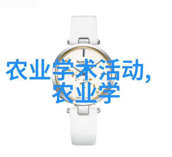 种植大棚的技术-高效利用光热资源大棚农业创新发展策略