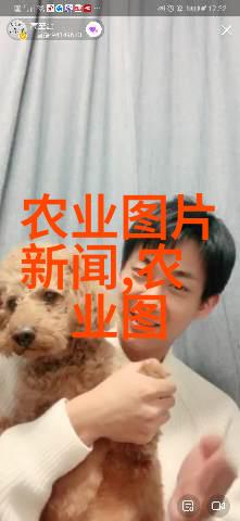 蜜源植物栽培高效养蜂的关键在于选择合适的蜜源植物