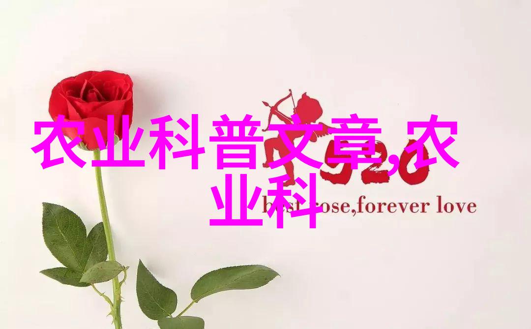 科技与自然共融现代化有机蔬菜大棚管理模式