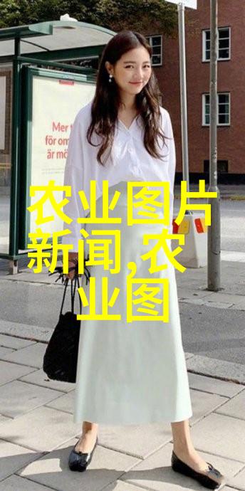 液压机械系统的动力学分析与控制策略研究