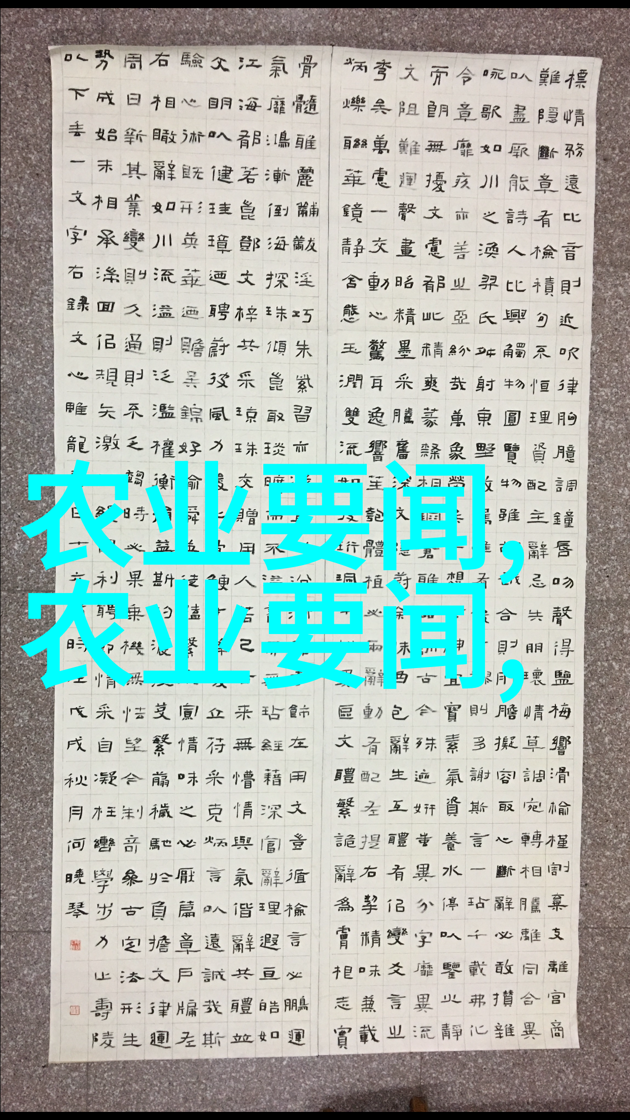 包装设备从零到英雄的故事
