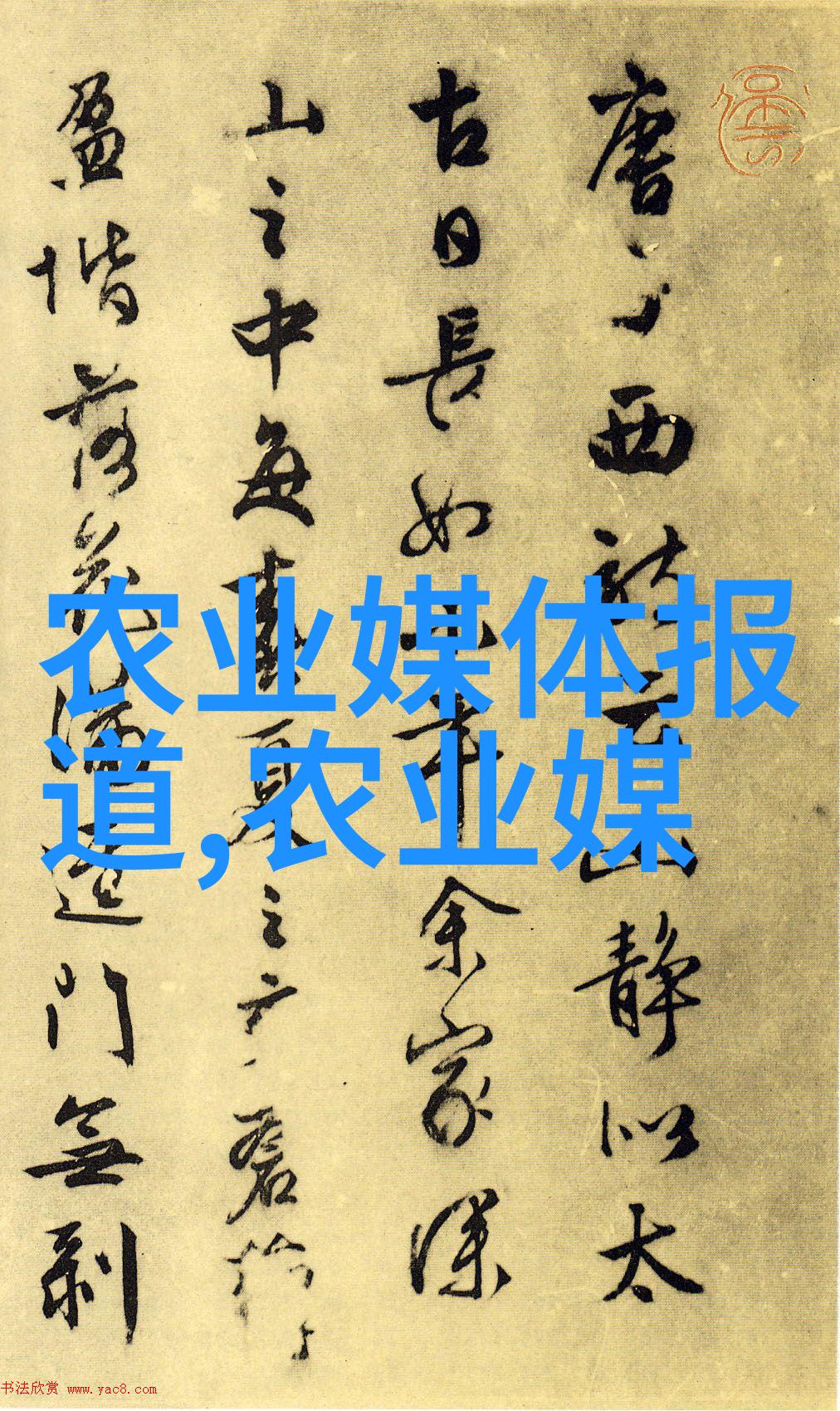 蜂蜜百科从花到瓶的全方位探究