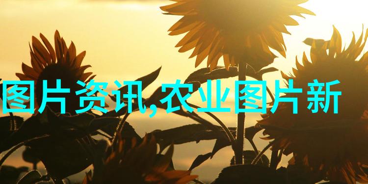 最好养殖的淡水鱼我来教你怎么选那几种超级棒的家养小龙虾