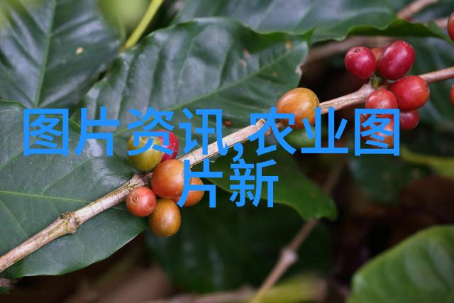 沉香浮世探索茶叶的古老传奇