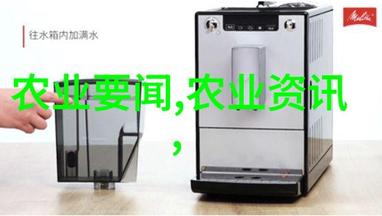 蜂起养蜂大作战从零到英雄的甜蜜征程