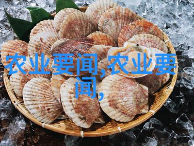 花卉资讯我眼中的绿意盎然揭秘那些让你家窗台永不空旷的花卉宝贝