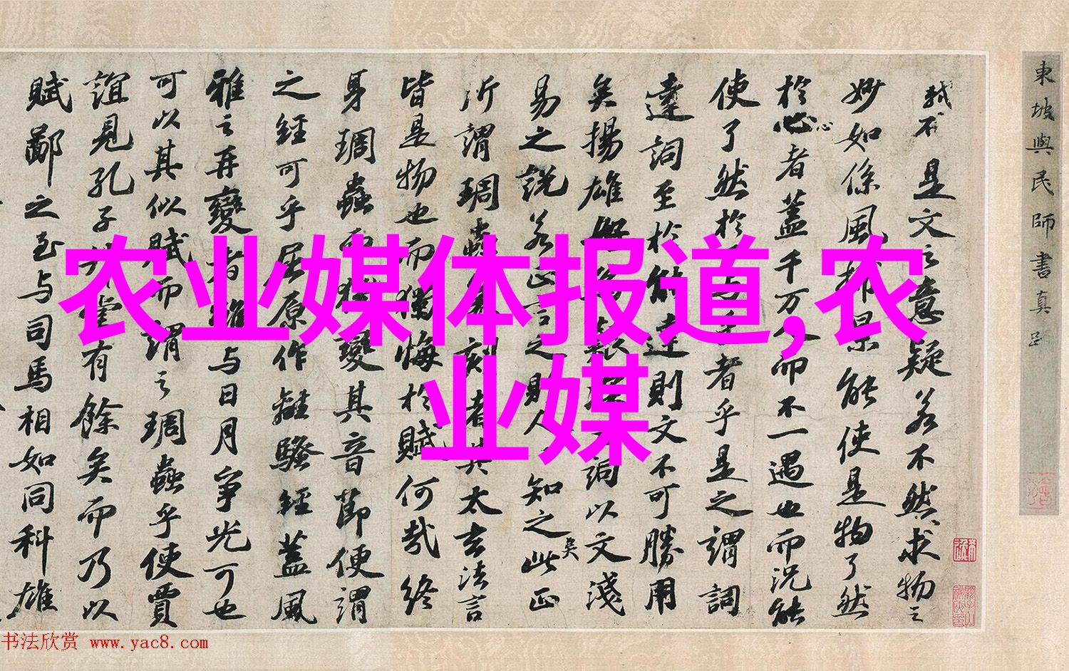 姜的亩产80万元新时代农民富裕梦的缩影