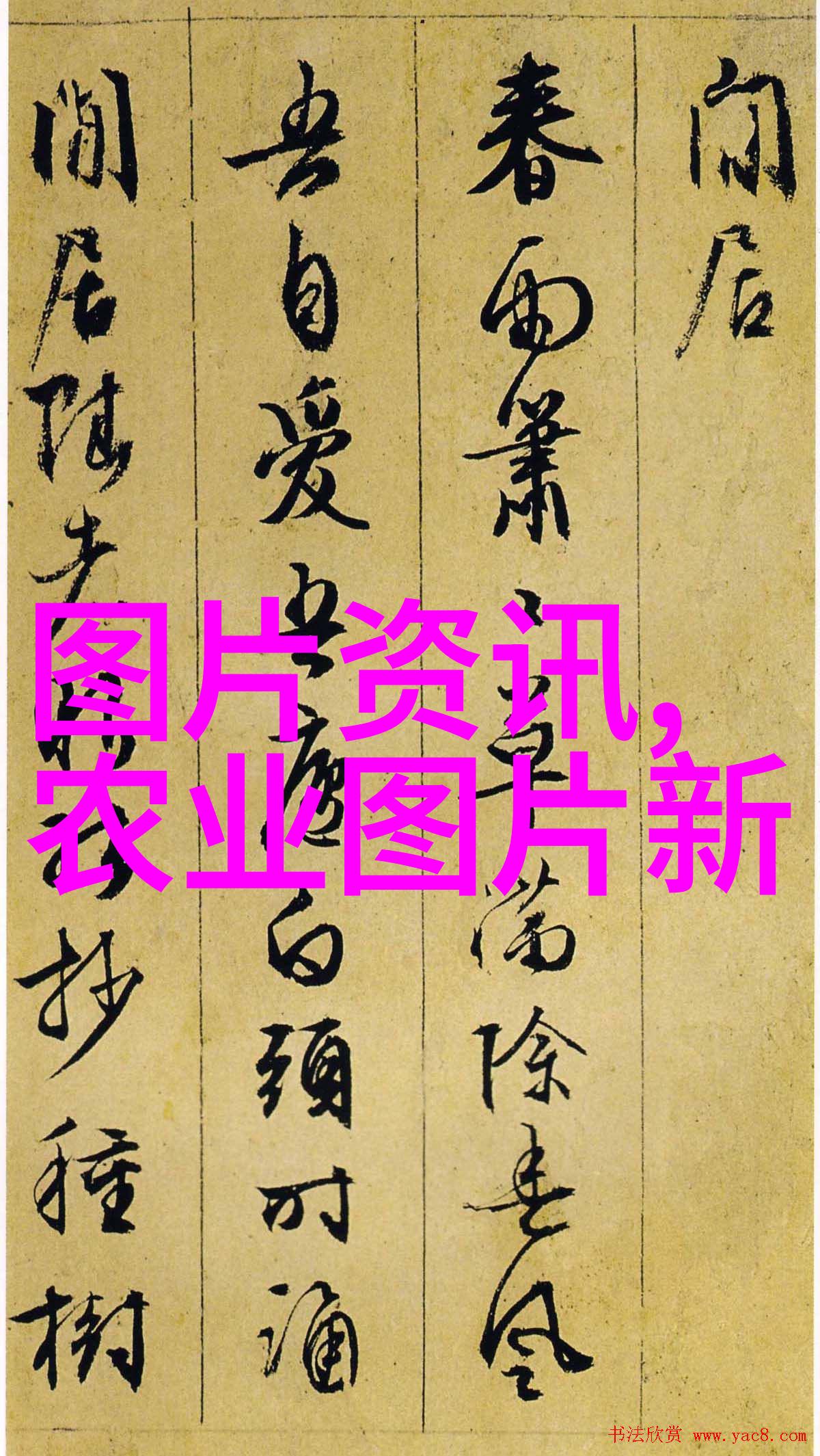 养蜂平台我是蜂蜜的农民在这个平台上我学会了和小蜜蜂对话