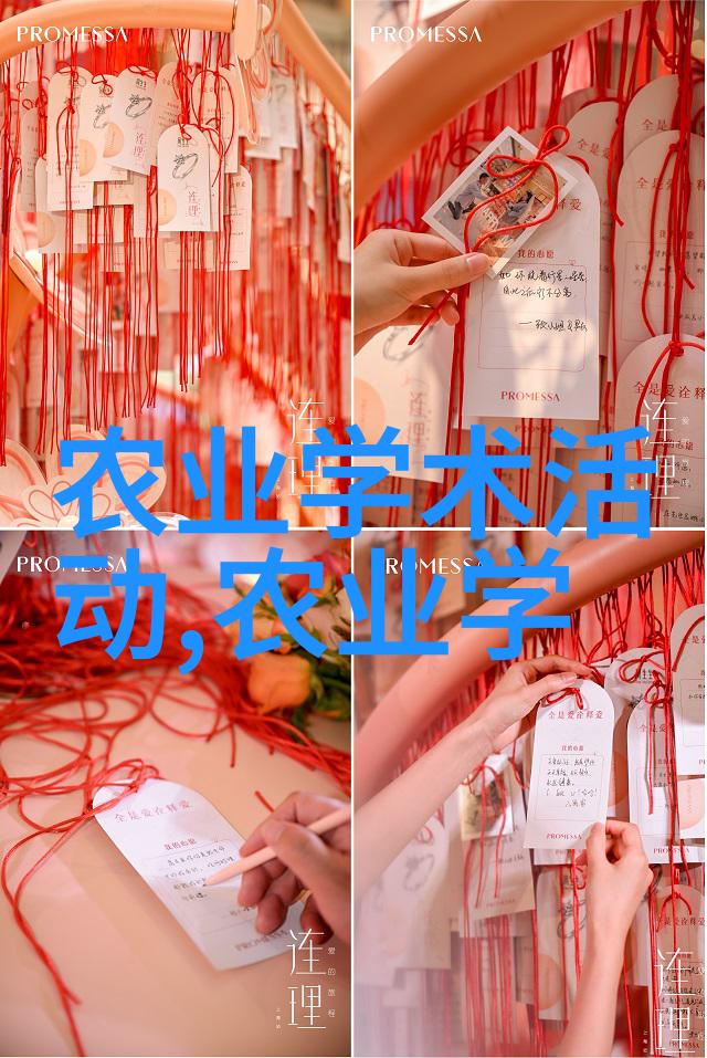 土壤探索者农用挖掘机的故事