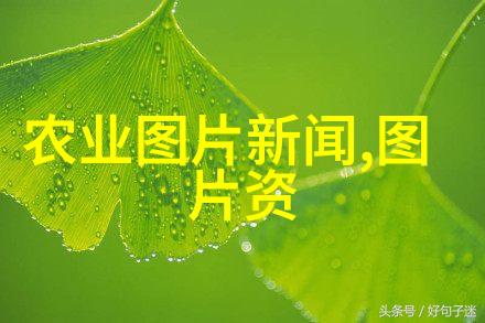 森林中的小精灵竹鼠养殖的秘诀与智慧