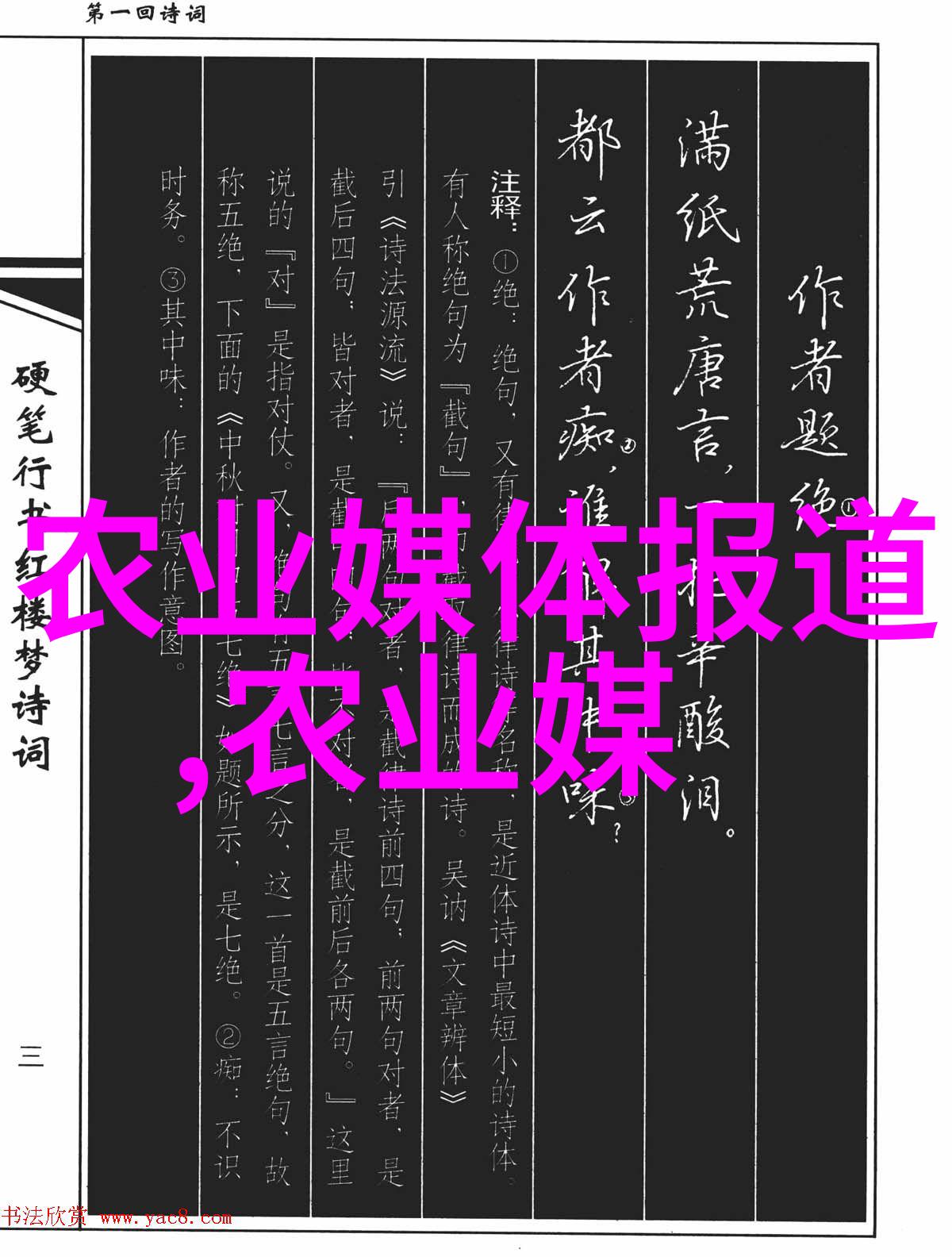 中药材发展前景分析走进未来我眼中的中国草本帝国