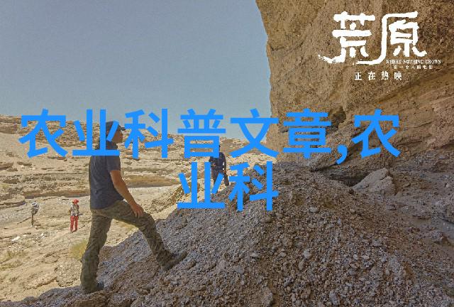 包装机械设备效率与创新之旅