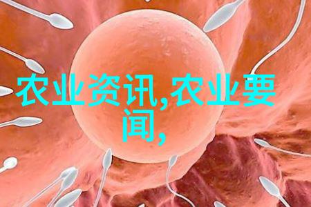 可食用种子的奇妙世界揭秘那些可以种植的水果种子