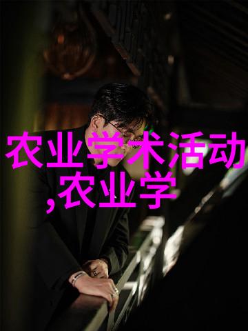 机智翱翔升降机的奇妙征程