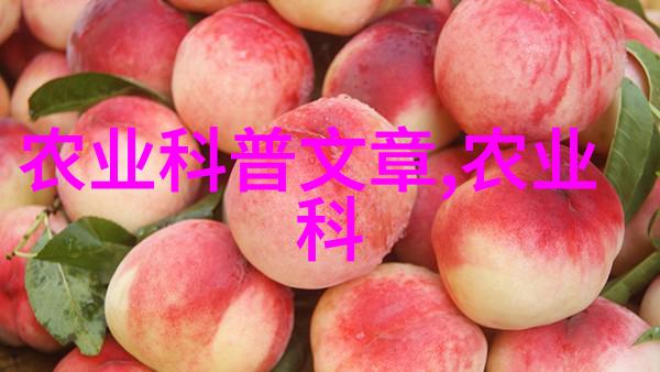 现代农业机械化革新大型旋耕起垄施肥一体机的运用与效益