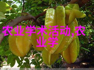大棚农业技术概述