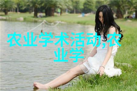 云深清浅时东奔西顾追逐梦想的不懈努力