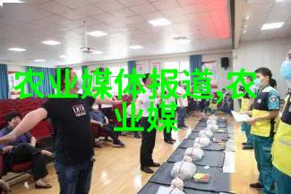 鲜花盛宴探索斗南批发平台的美丽世界