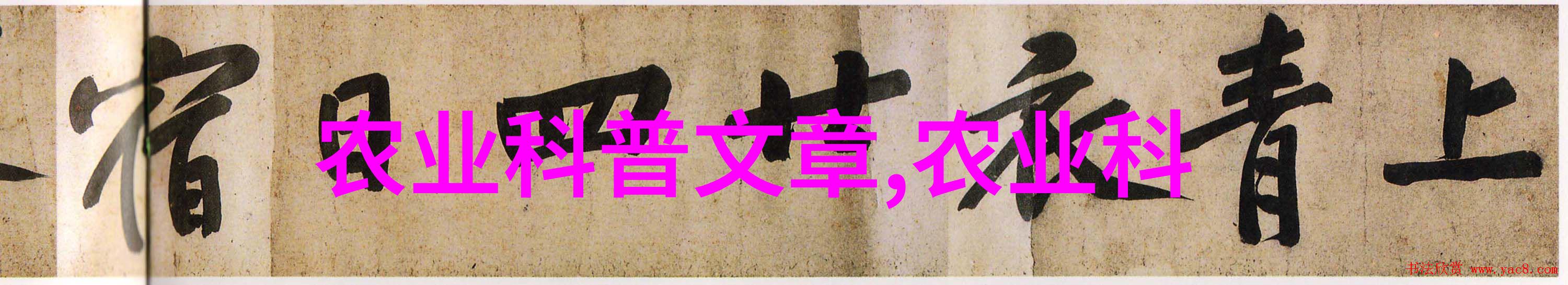 陕西最赚钱的药材种植项目探究