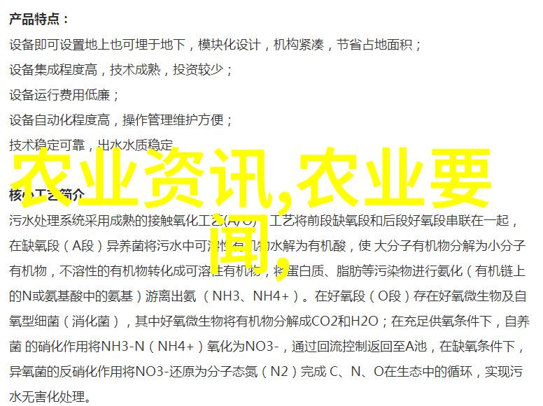 早川濑里奈全集我是怎样一路追寻她的每一个角色发现了自己心中的那份无尽的热爱