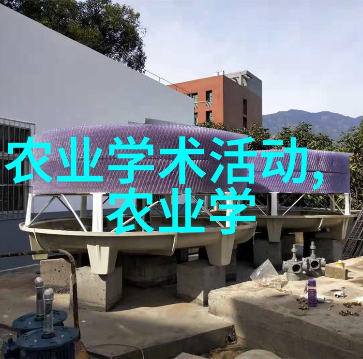 室内植物不再单调创意盆景设计分享