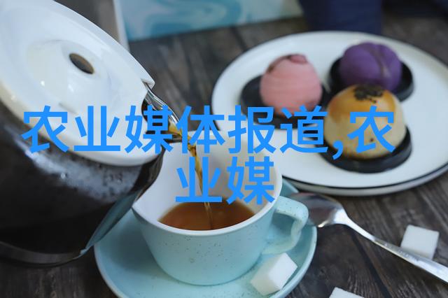 传统与现代相融合十九世纪和现代十有五厘米胶状材料对比研究