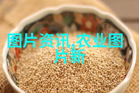 绿茵翠霄苗木种植的艺术与智慧