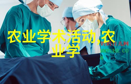 黄瓜种植技巧与经验分享