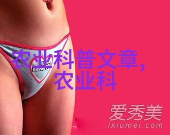 国内最好的秸秆还田机又是何方