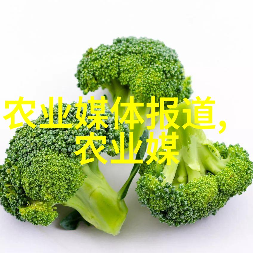 养殖技术培训提升农业效益的关键所在