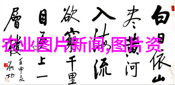 园艺花卉种植技术我来教你如何让你的花园变成小天地