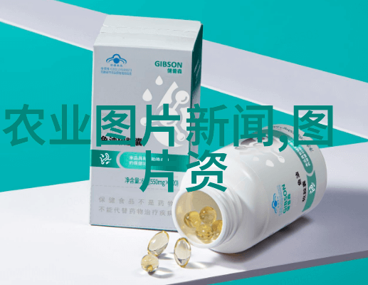 春意盎然巧妙种植花卉的艺术秘籍