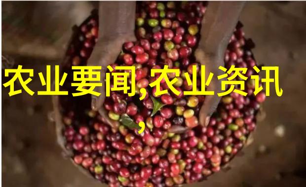 旱地药材种植生态友好与经济效益的双赢选择