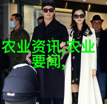 巴掌印小说揭秘家族恩怨背后的真相
