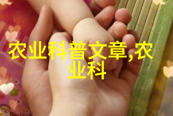 蜜蜂专用工具大全花粉收集器蜂巢制造工具蜜蜂健康检查套件