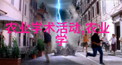 10种最旺家的绿植我的室内植物大作战