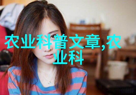 现代农业机械化发展的新篇章农机市场现状与未来趋势