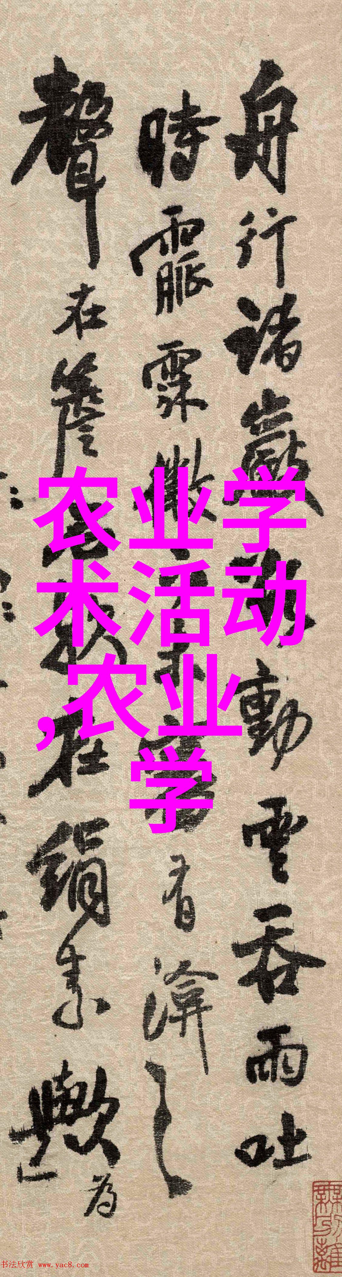 中草药种植前景展望市场趋势技术创新与可持续发展分析
