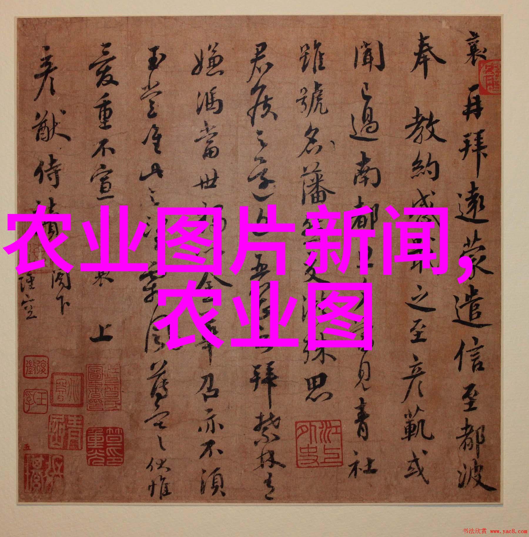 国家扶持的种植项目汇总绿色发展新动力