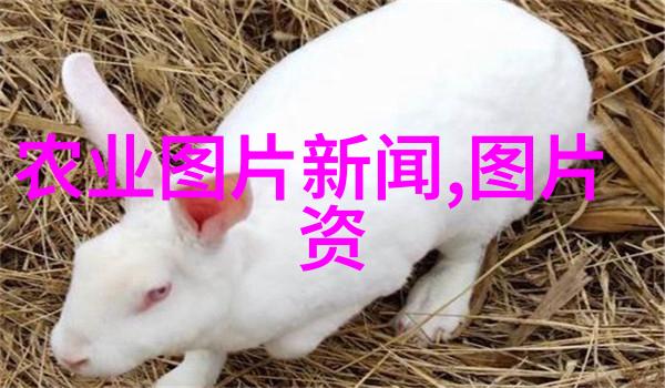 丰收的味道种子里的秘密