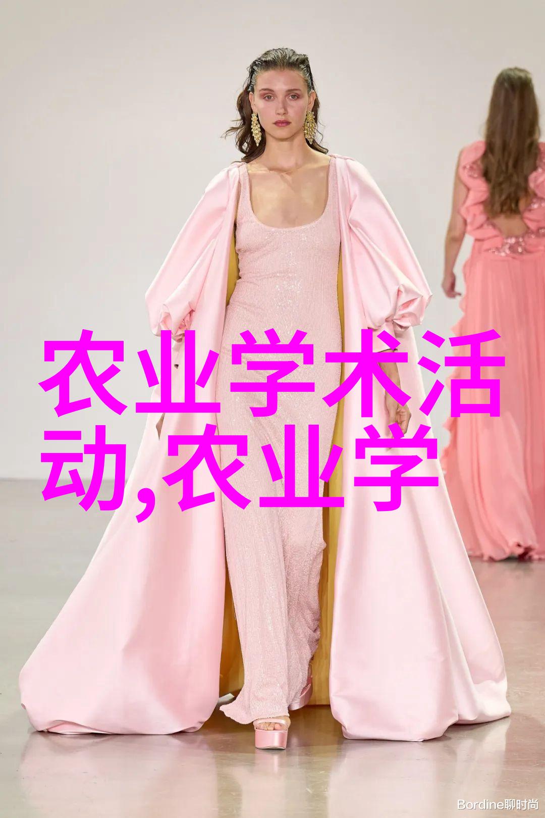 种植大棚的技术我是如何一步步把菜园子变成高效大棚的