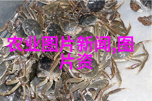 农村山上中草药大全图片我来教你怎么在山上找那些有用的草药