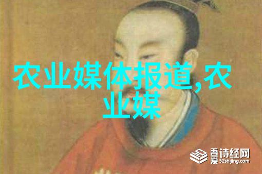 森林之谜苗木种植的秘密