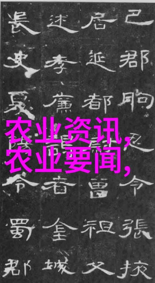 多肉爱好者的心得分享我的1000种多肉植物图鉴之旅从初学者到大师