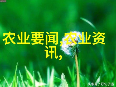 人权保障视角下的中级社会工作法规解读与实务操作指南
